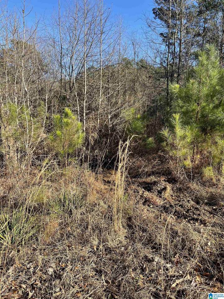 2171 Reid Road - Photo 1