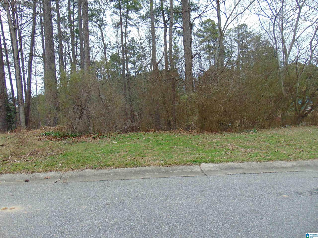 1208 Grande View Lane - Photo 1