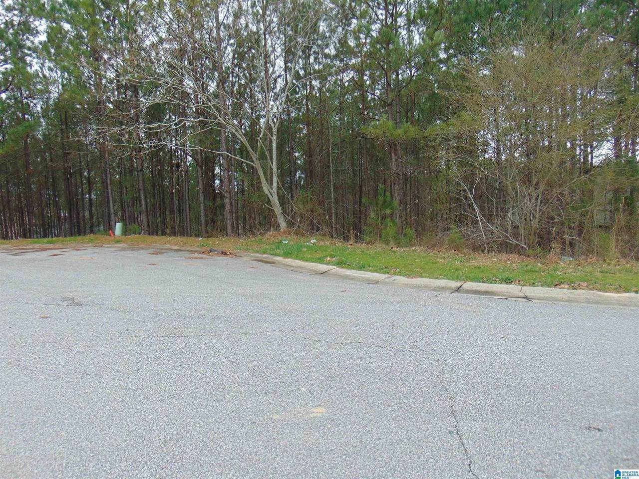 1210 Grande View Lane - Photo 1