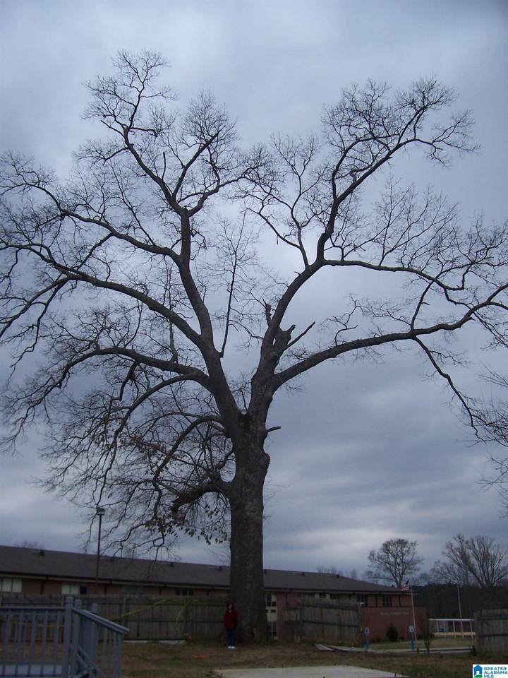 2411 Floyd Bradford Road - Photo 1