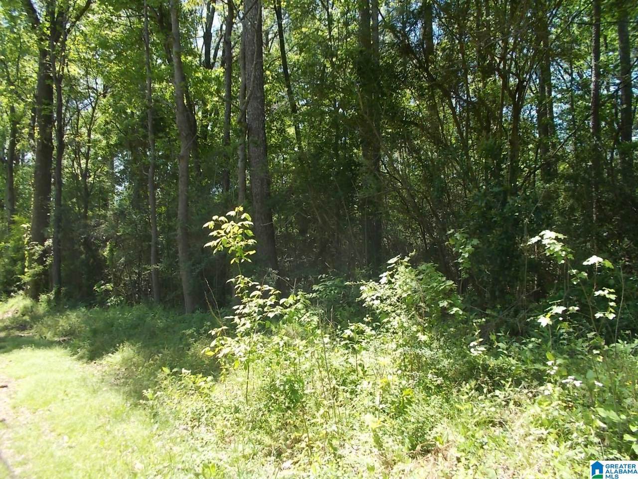 71 Swindle Drive - Photo 1