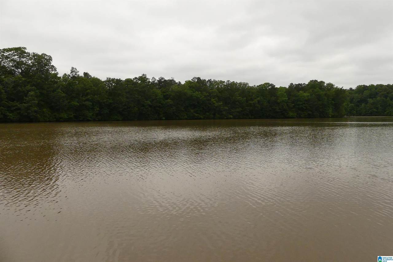 Lot 9 Peninsula Drive - Photo 1