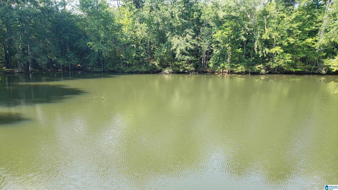 800 Airport Road - Photo 1