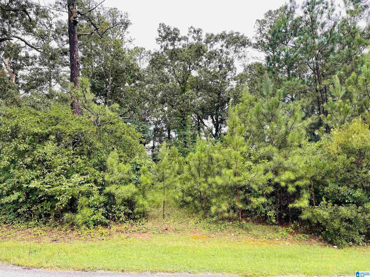 0 3RD STREET - Photo 1