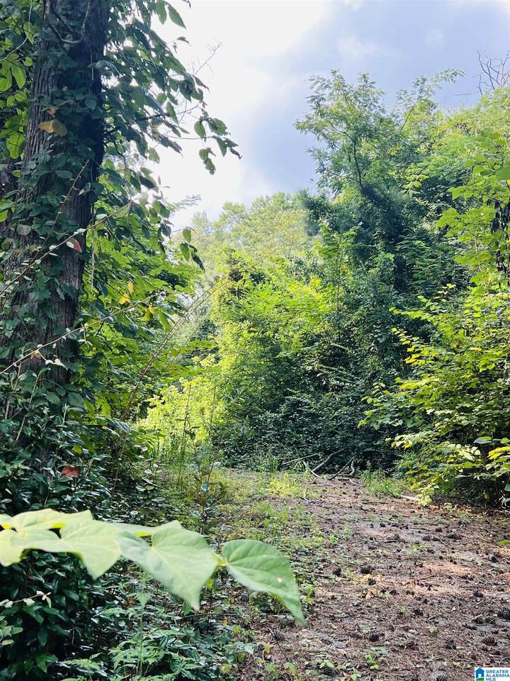 2509 Overhill Road - Photo 1