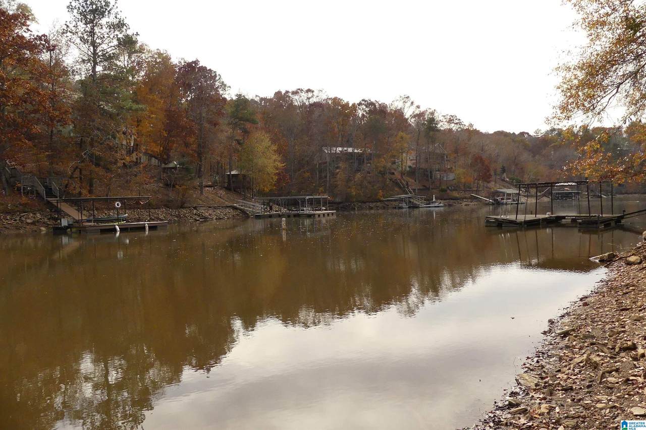 Lot 42B Hicks Bend Court - Photo 1