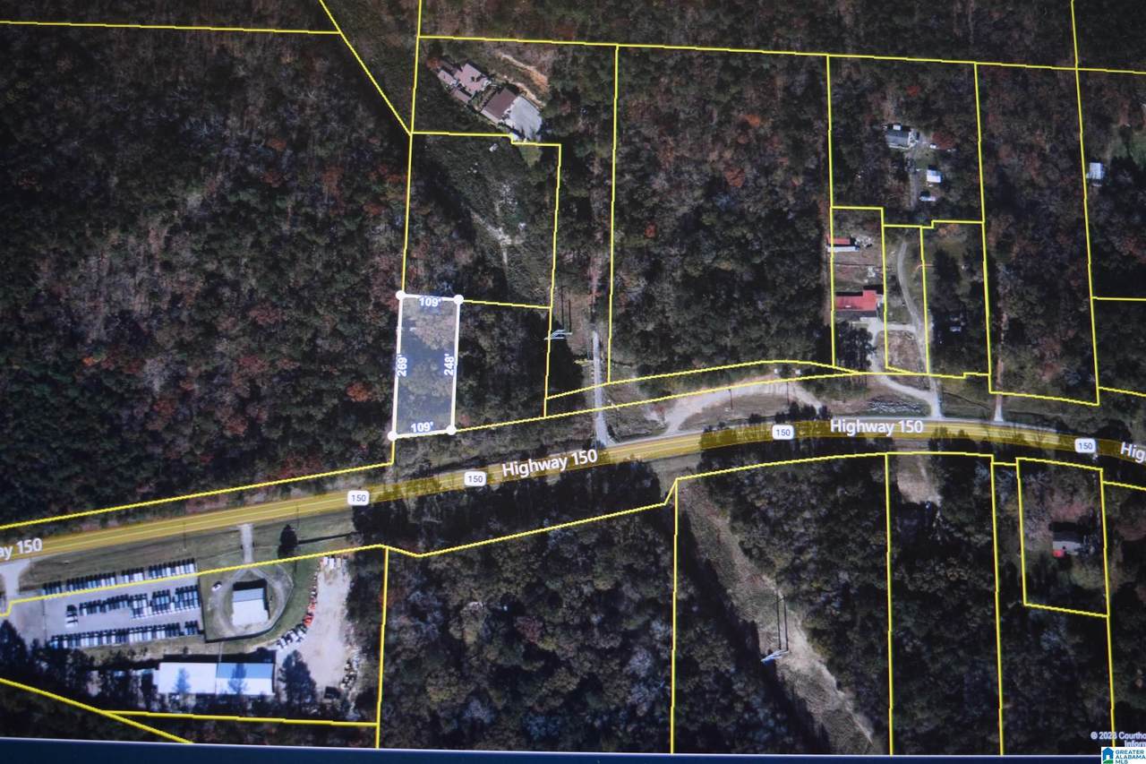 1863 Highway 150 - Photo 1