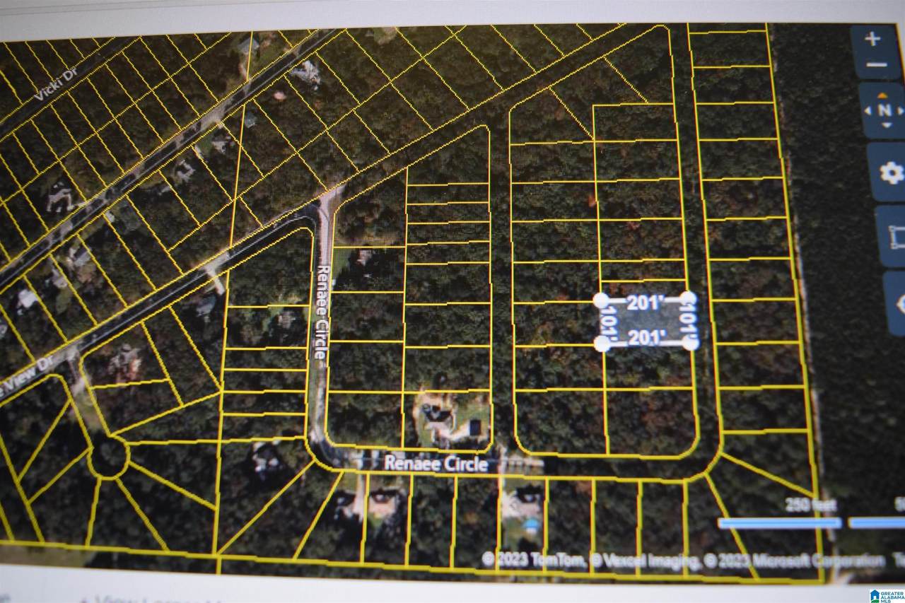 267 Renaee Circle - Photo 1