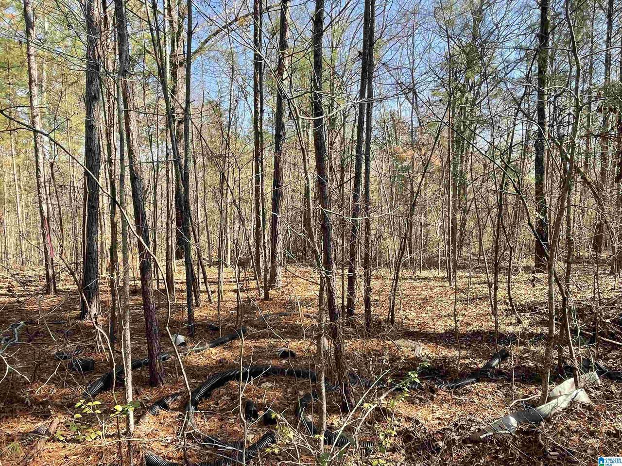 0 Wilson Glen Drive - Photo 1