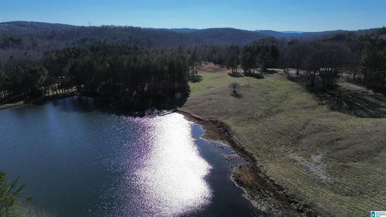 46088 Highway 77 - Photo 1