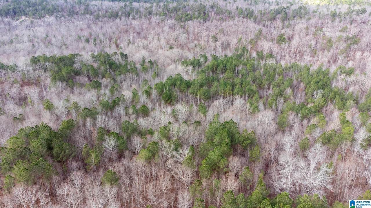 0 Cook Springs Road - Photo 1