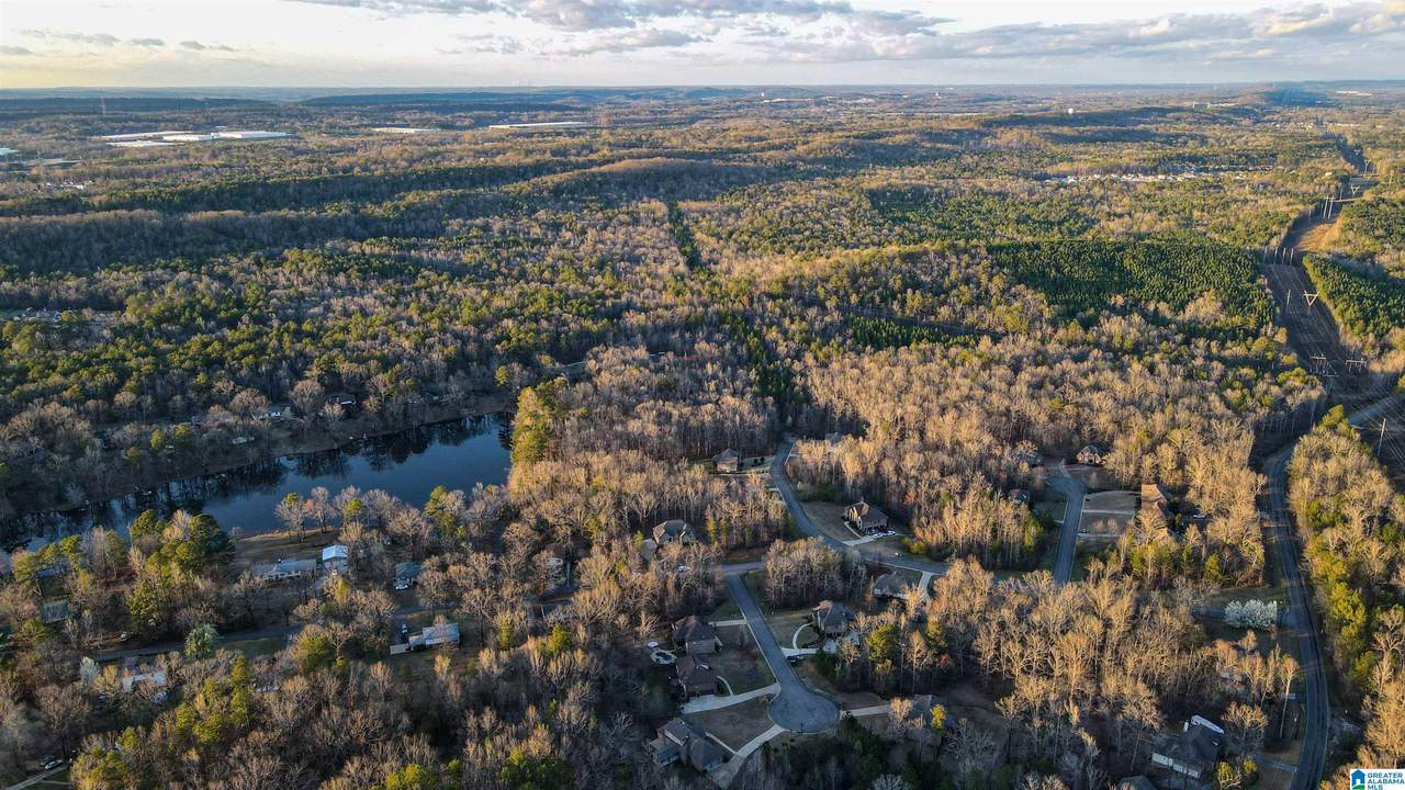 5561 Pine Street - Photo 1