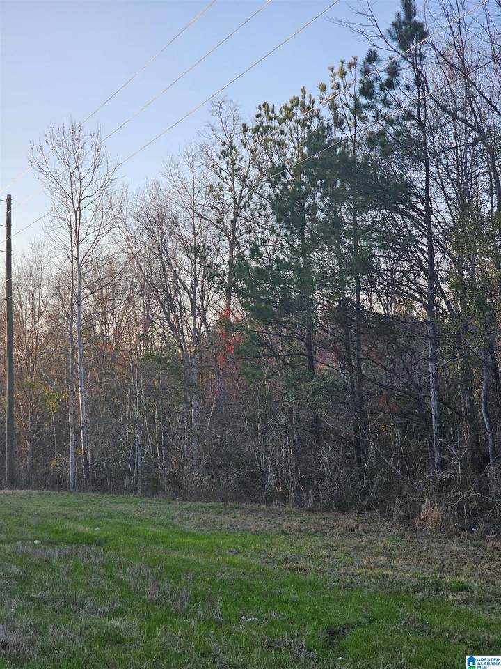 0 Highway 82 - Photo 1