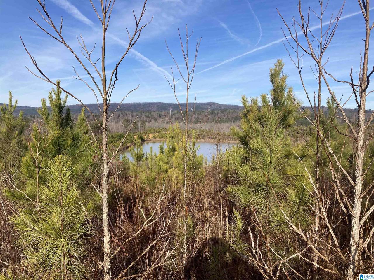 13699 Highway 55 - Photo 1