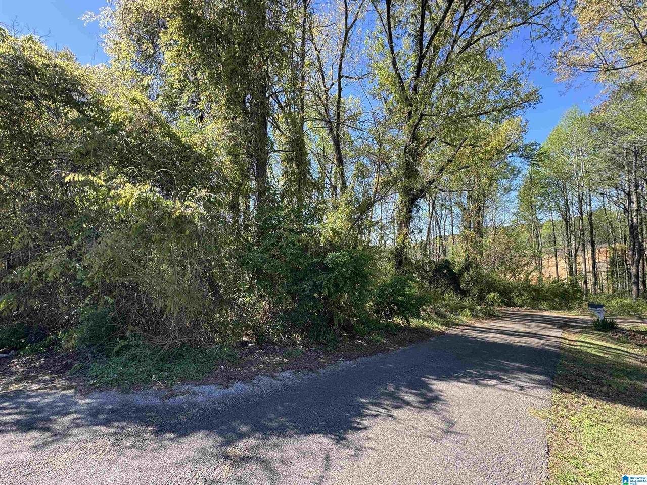 128 Rosemary Avenue - Photo 1