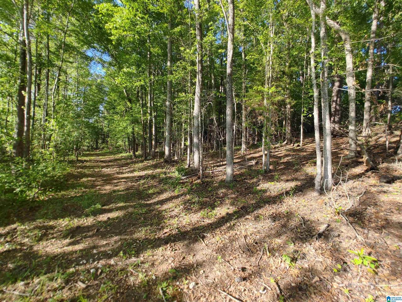 00 Cove Road - Photo 1