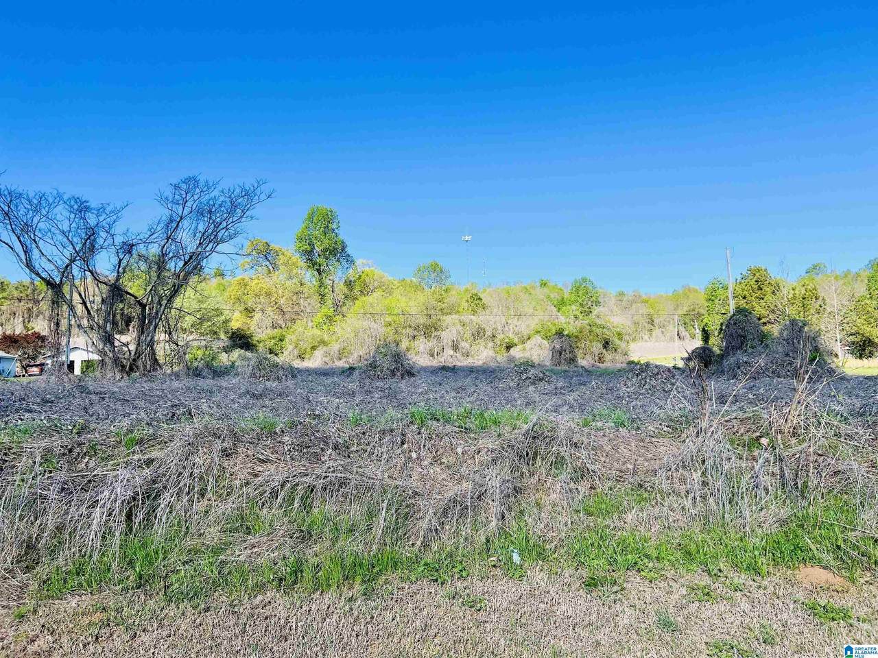 0 Highway 79 - Photo 1