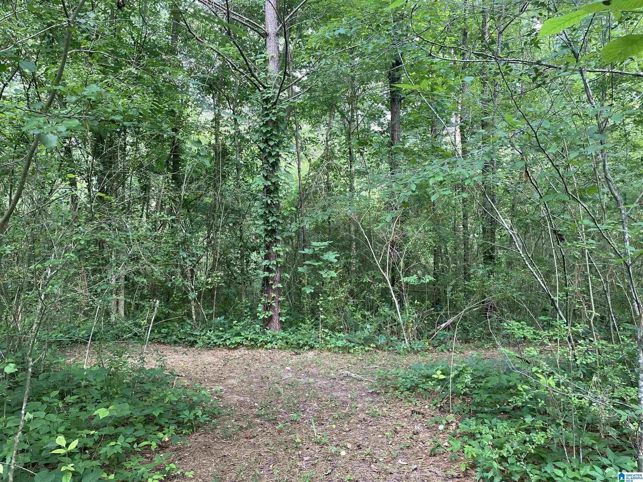 3500 Talladega Highway - Photo 1