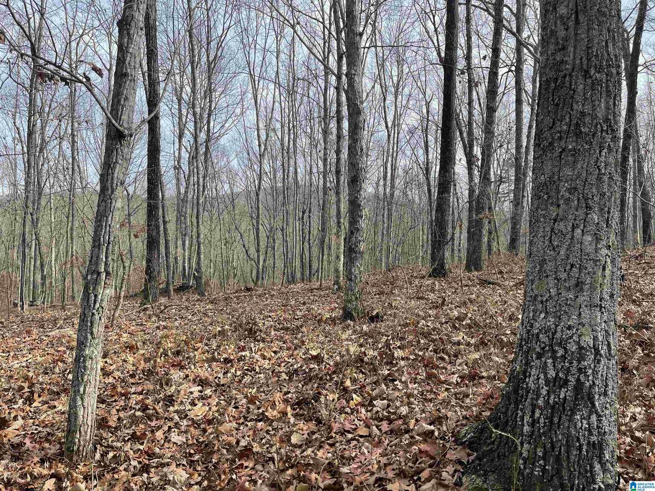 0 County Road 852 - Photo 1
