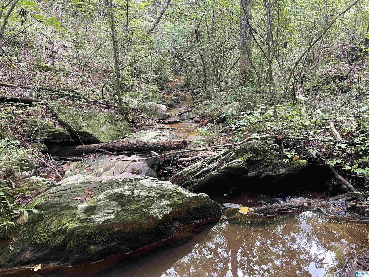 1050 County Road 329 - Photo 1