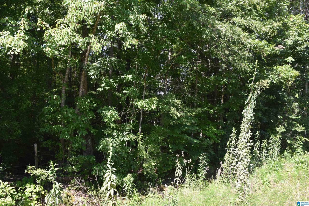 0 Old Sylacauga Highway - Photo 1