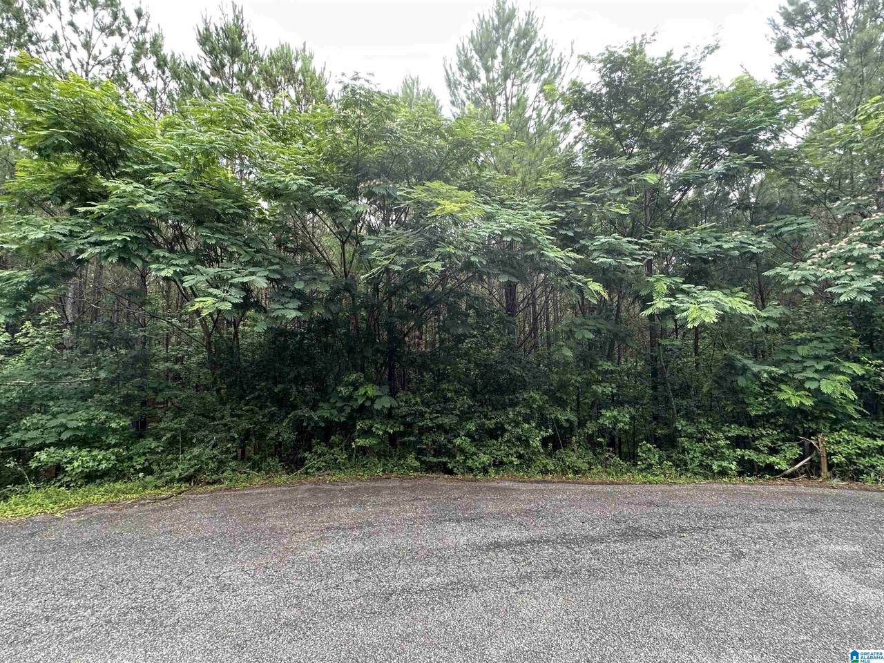 280 Virginia Way - Photo 1