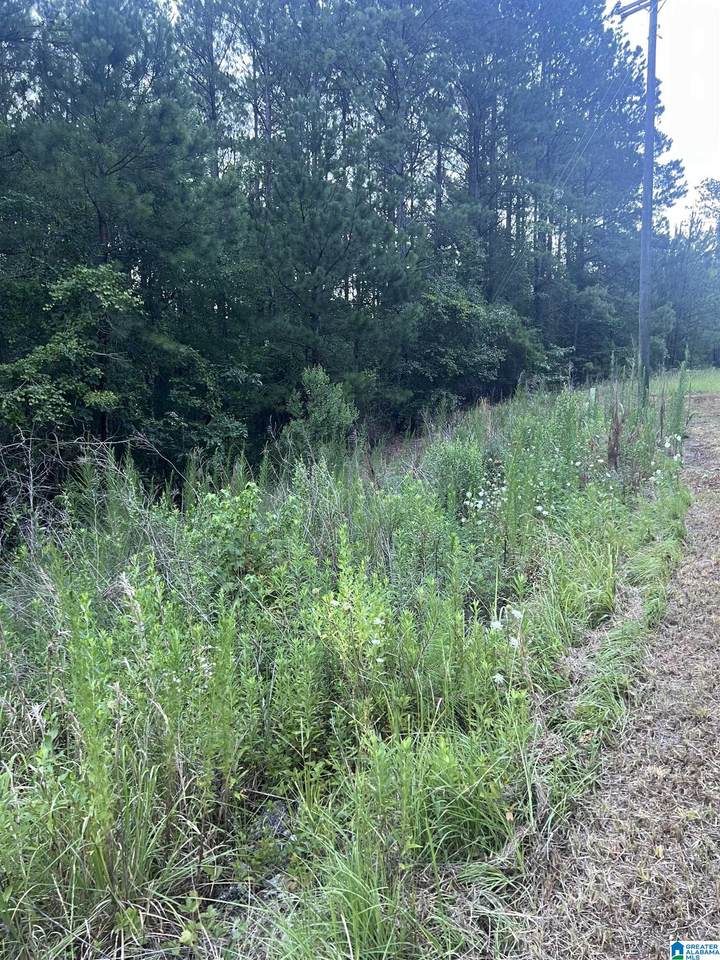 0 Shore Side Lane - Photo 1