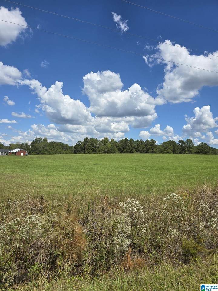 0 Highway 31 - Photo 1