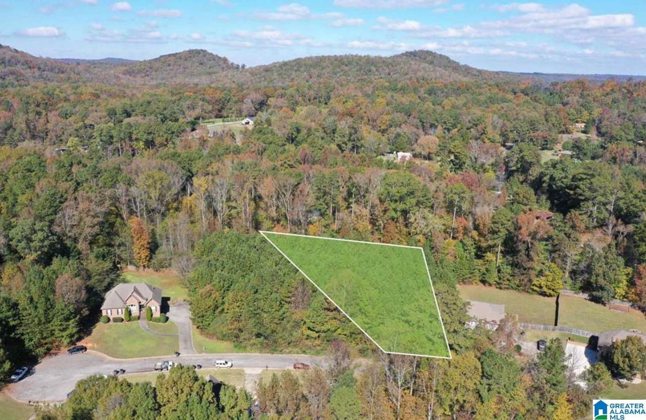 7016 Brooke Lane - Photo 1