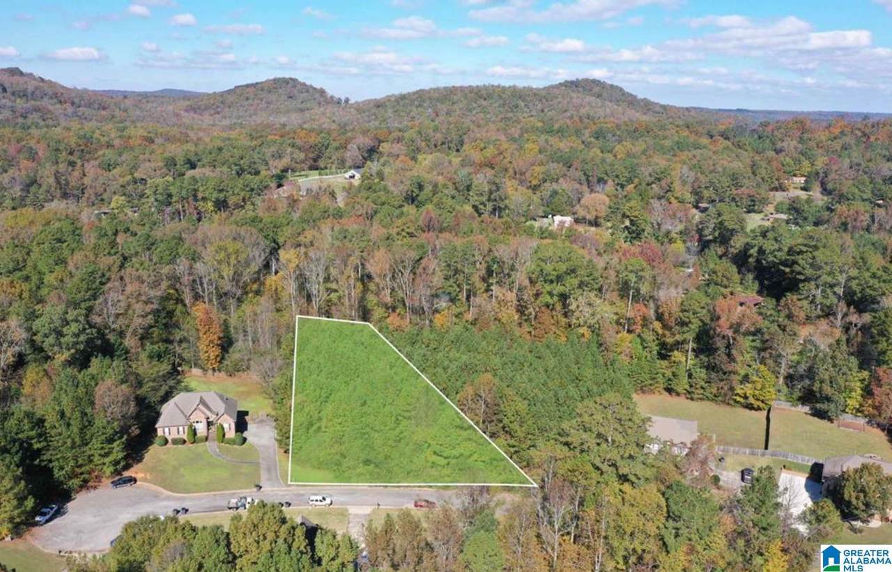 7012 Brooke Lane - Photo 1