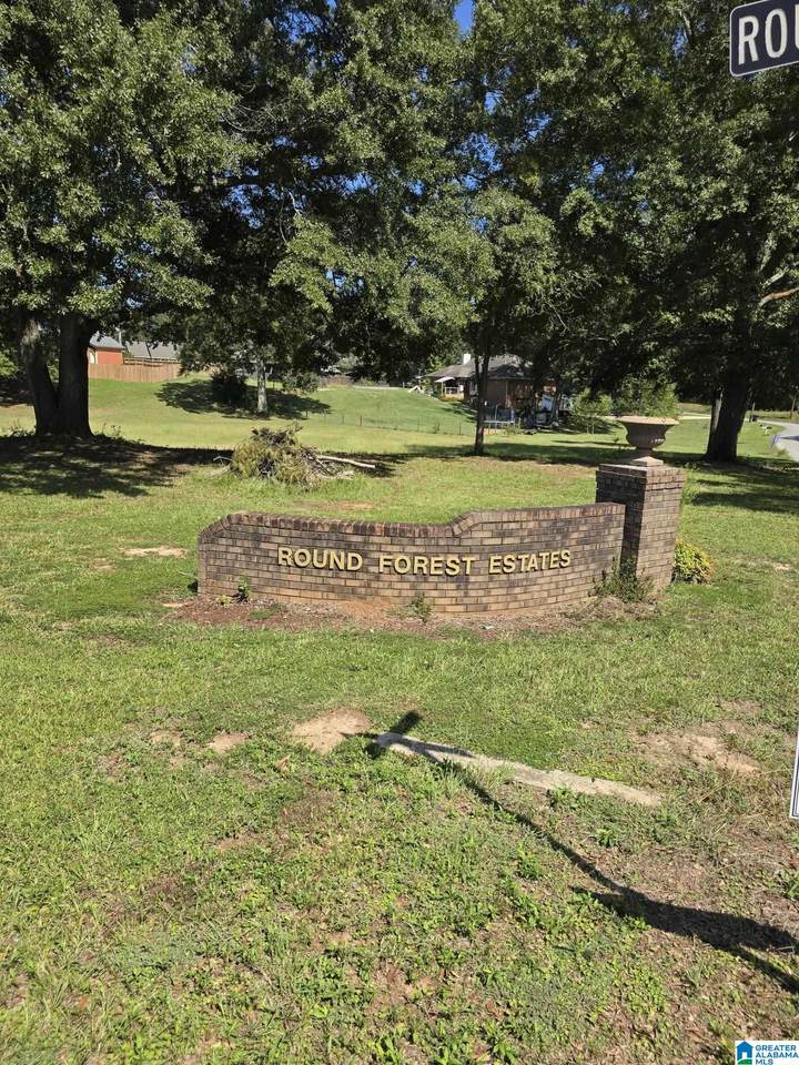 110 Round Forest Drive - Photo 1