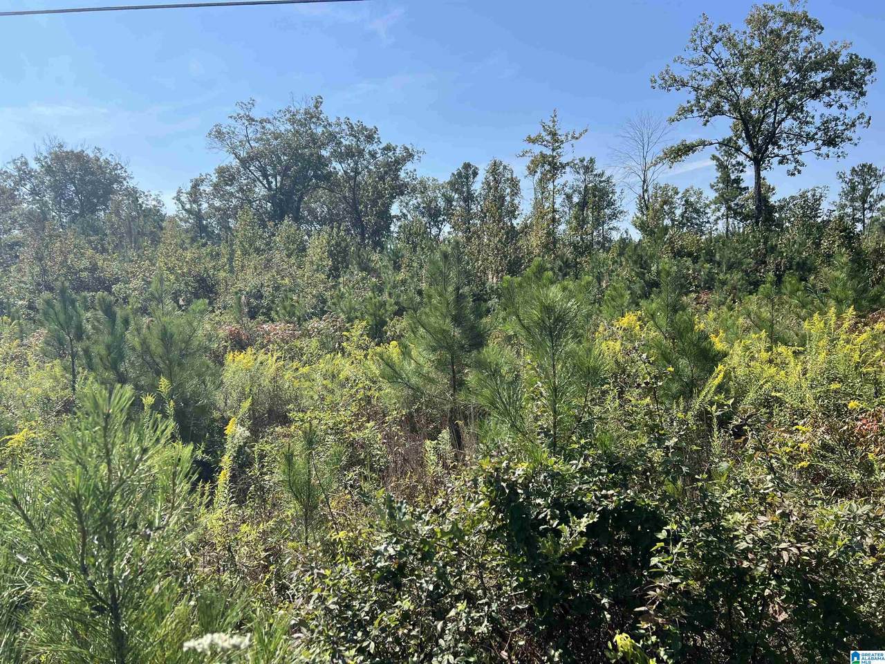 0 Shore Drive - Photo 1