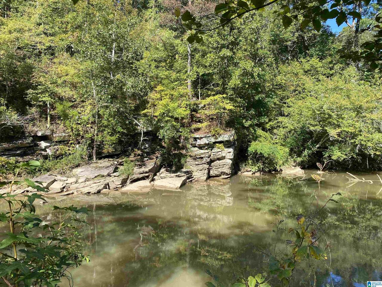 0 War Eagle Drive - Photo 1