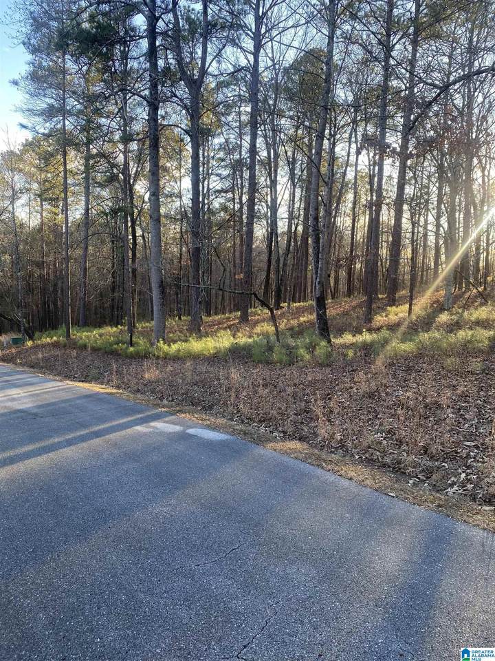 0 Vista Circle - Photo 1