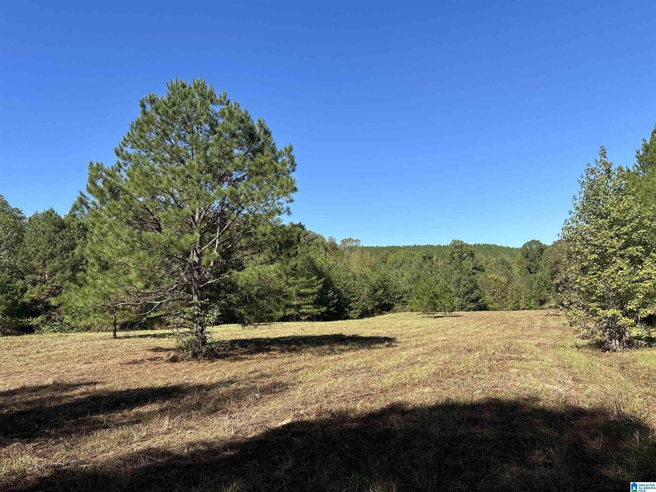 4434 County Road 86 - Photo 1