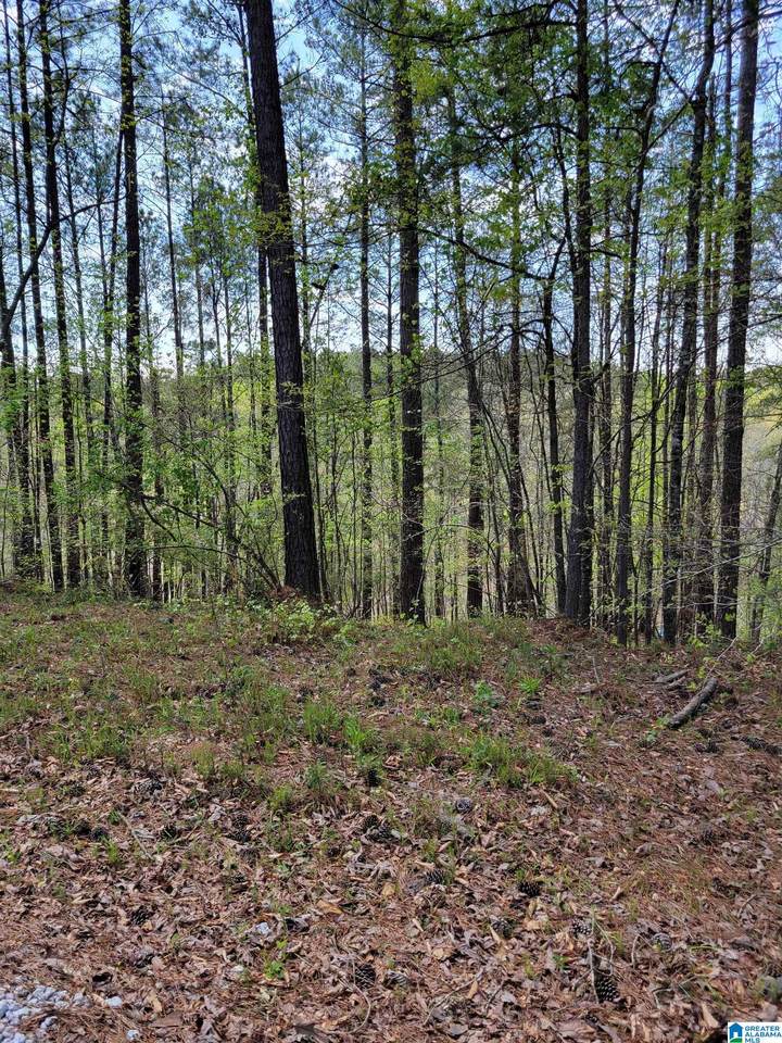  Lake Geneva Drive - Photo 1