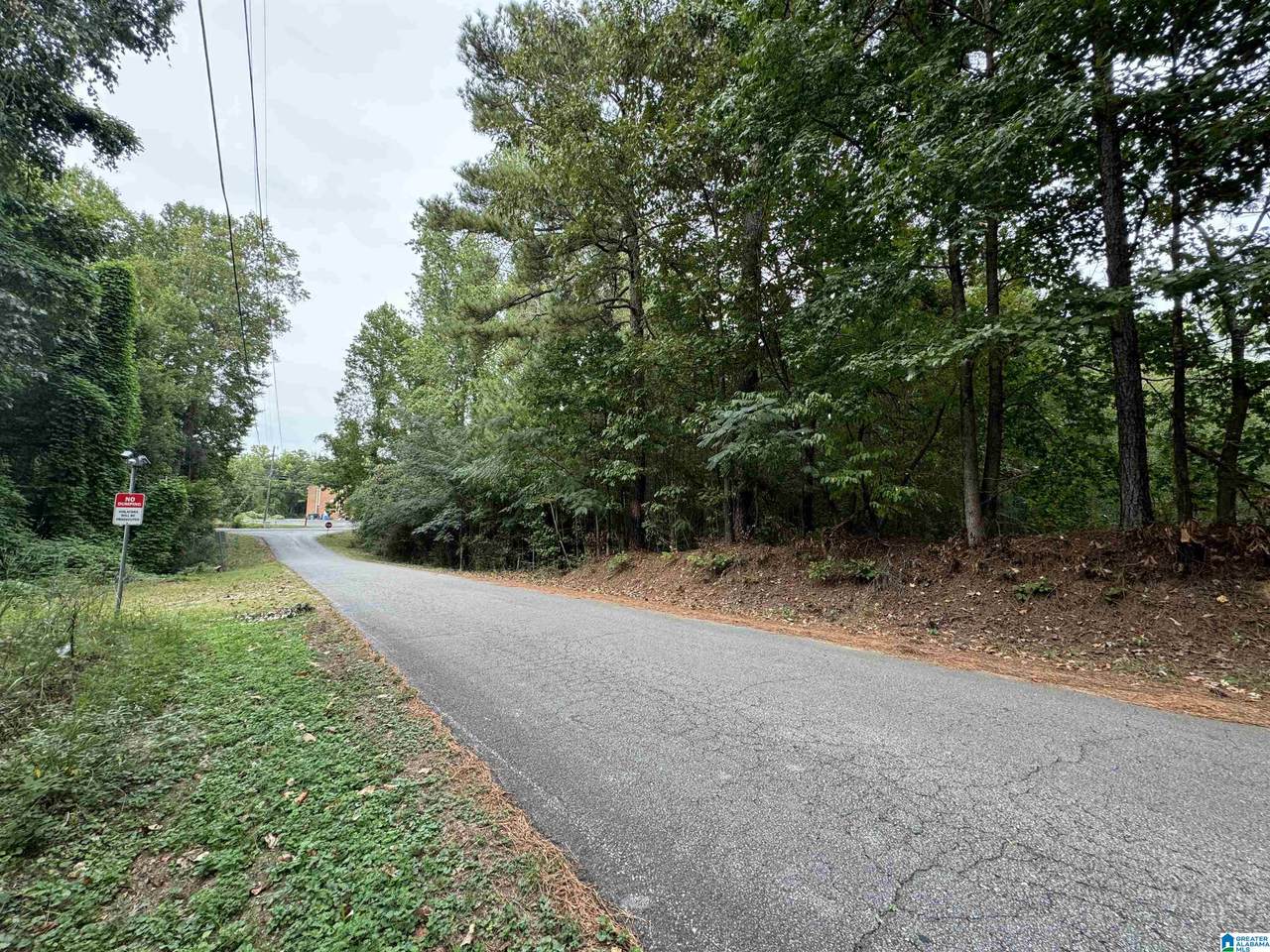 1281 Union Grove Road - Photo 1