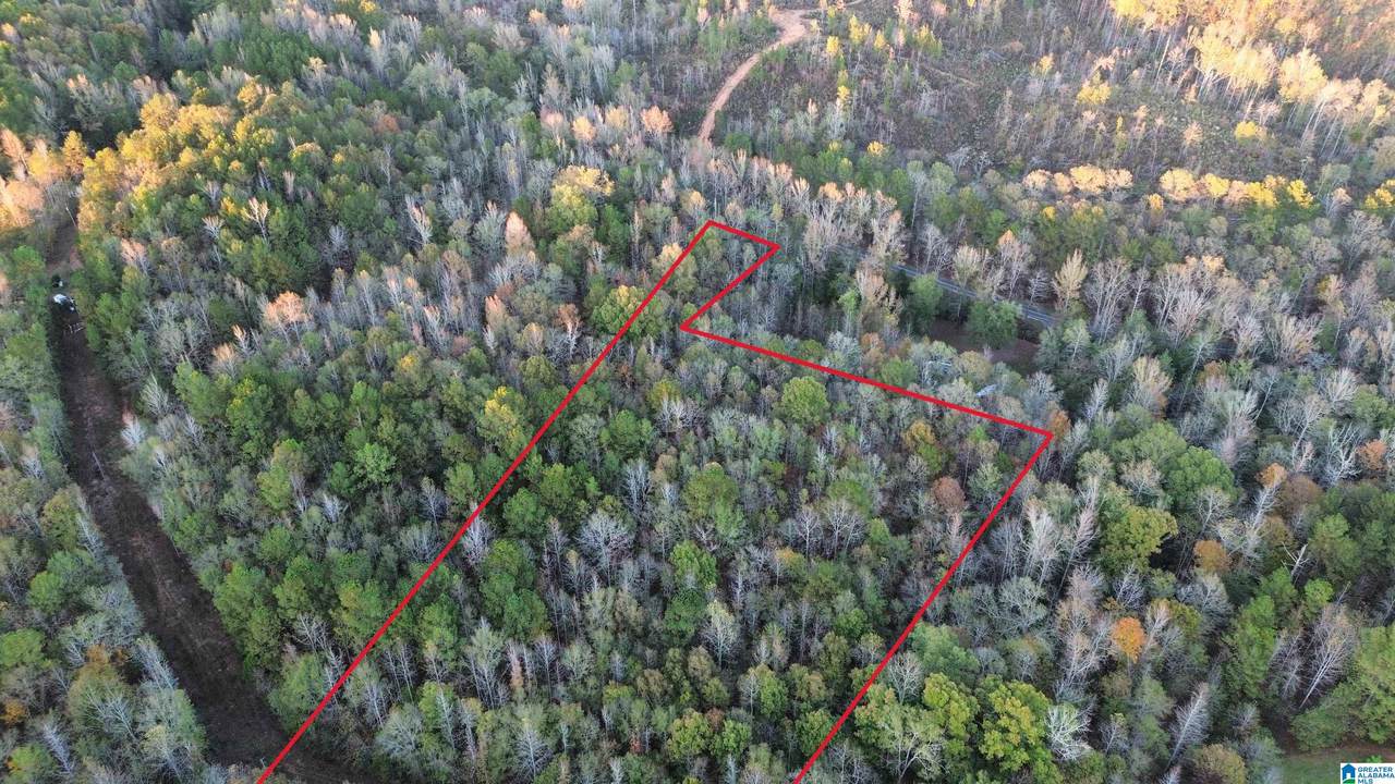 0 Coosa County Road 66 - Photo 1