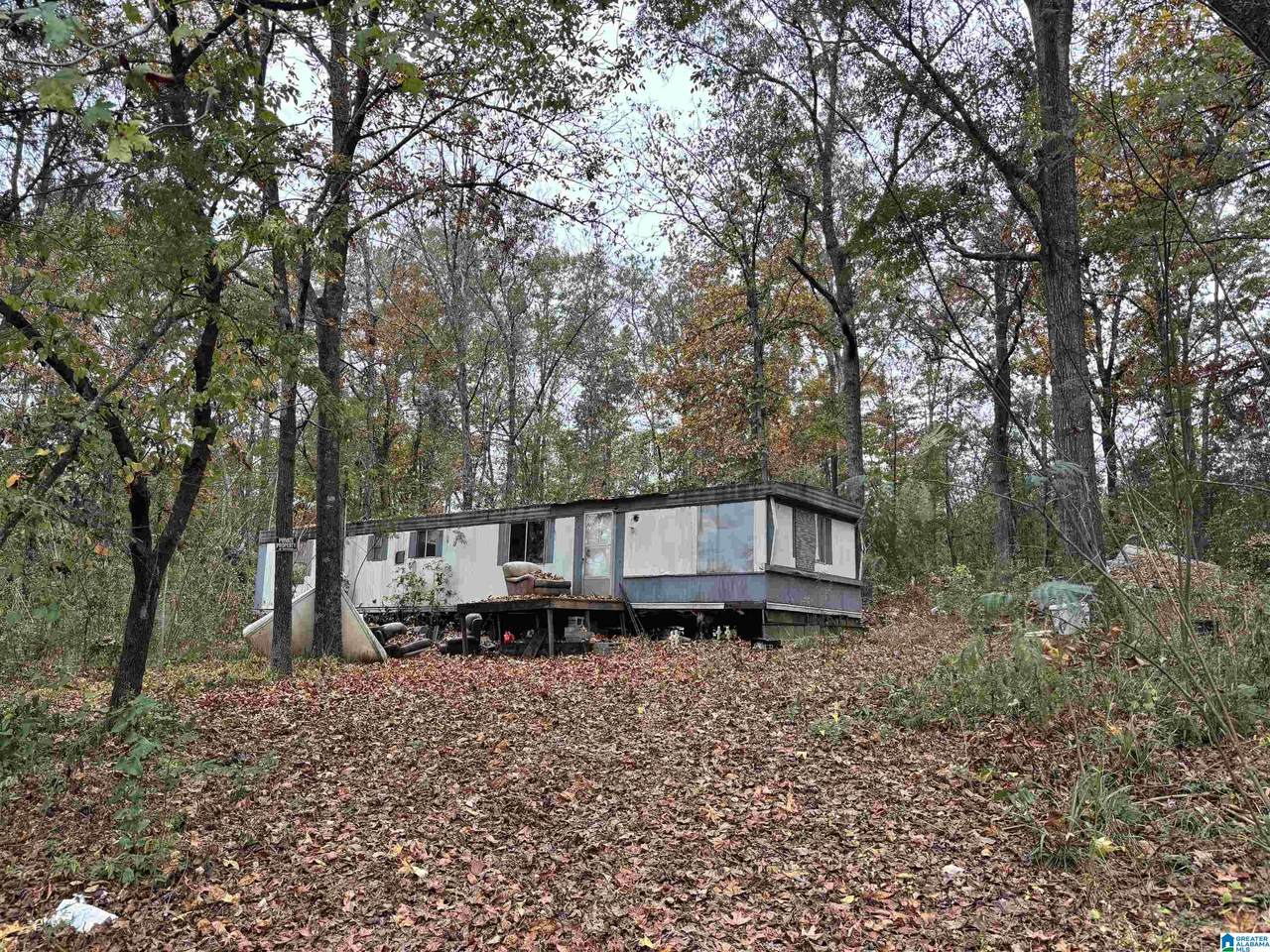 130 Valentine Trail - Photo 1