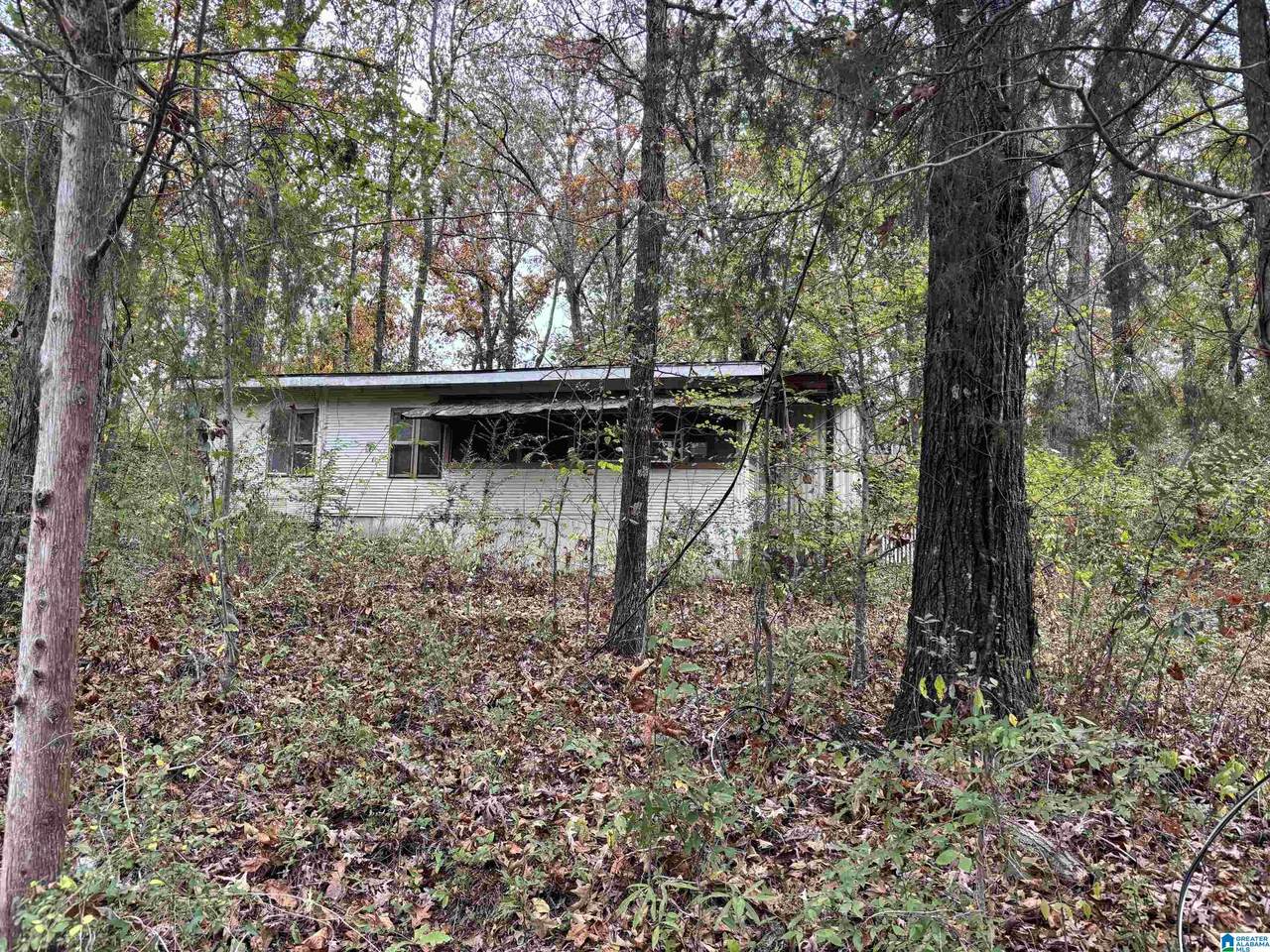 120 Valentine Trail - Photo 1