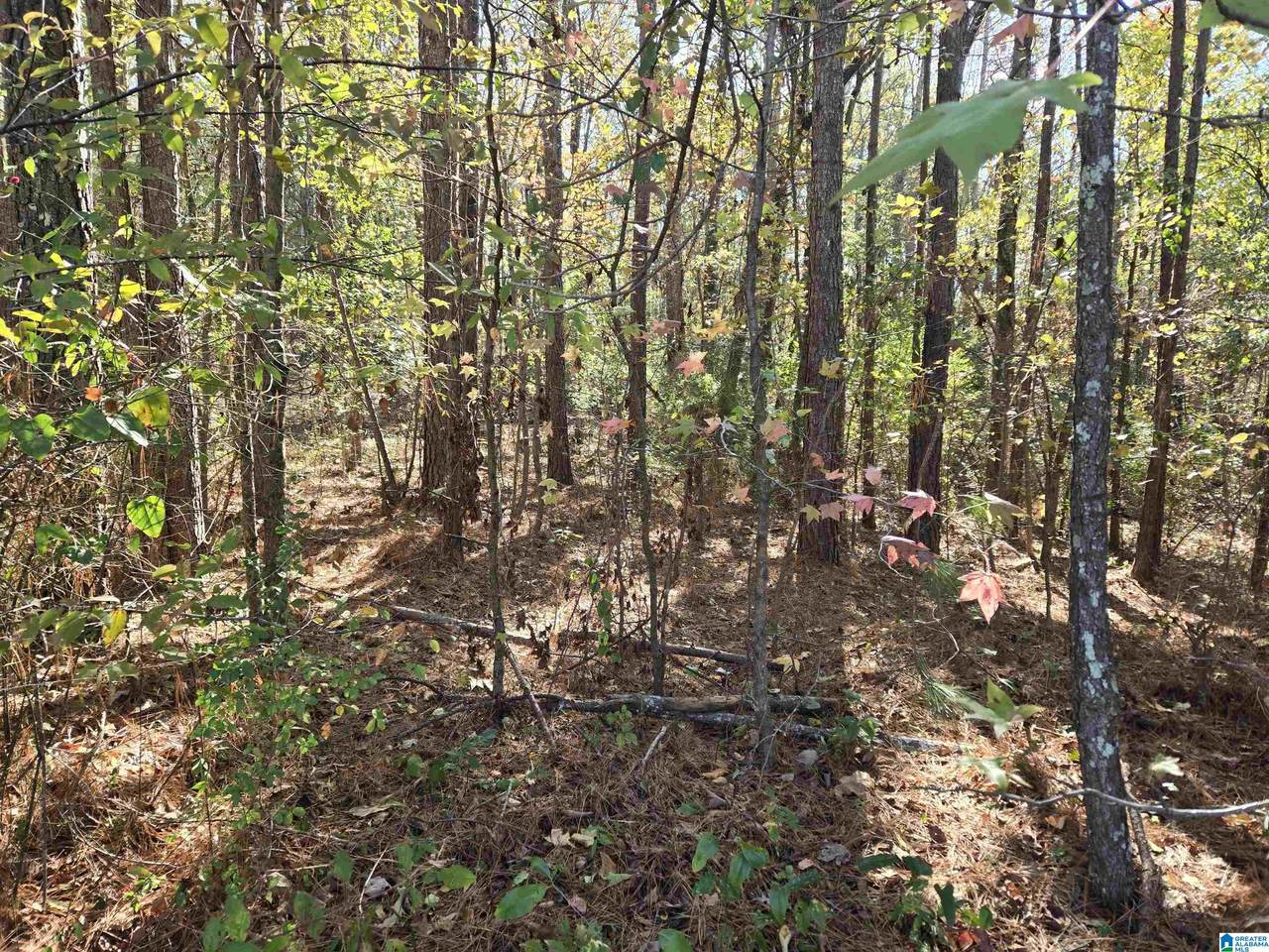 0 Maynor Lane - Photo 1