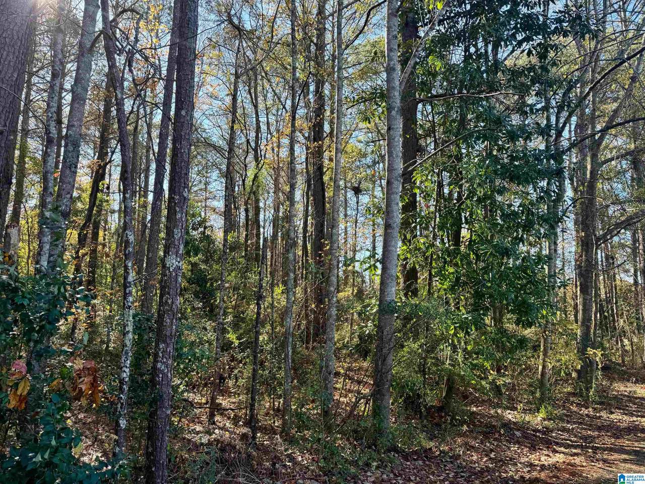 Lot 18 Omaha Road - Photo 1