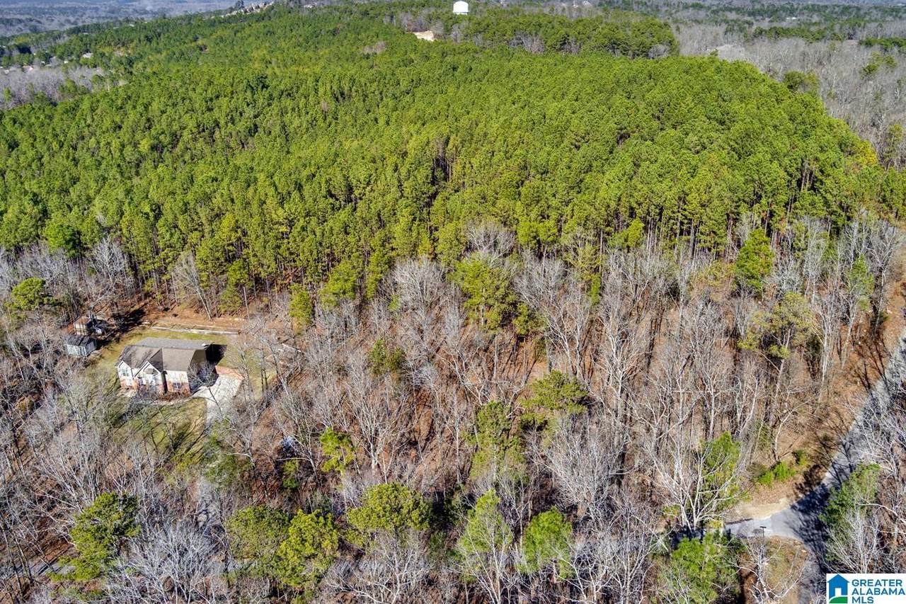 54 Melissa Drive - Photo 1