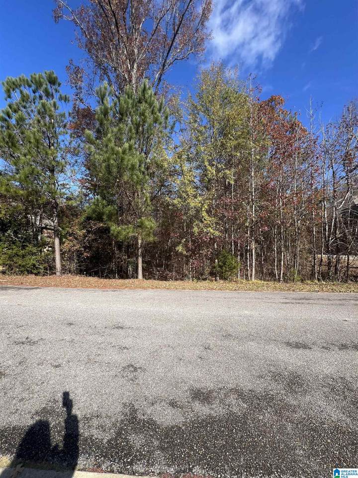 119 Walking Horse Trace - Photo 1