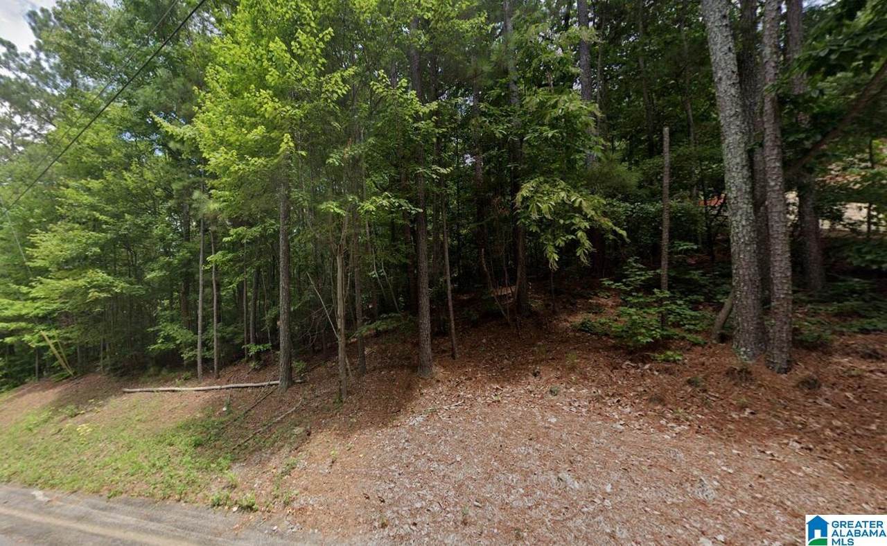 0 Greenbriar Road - Photo 1