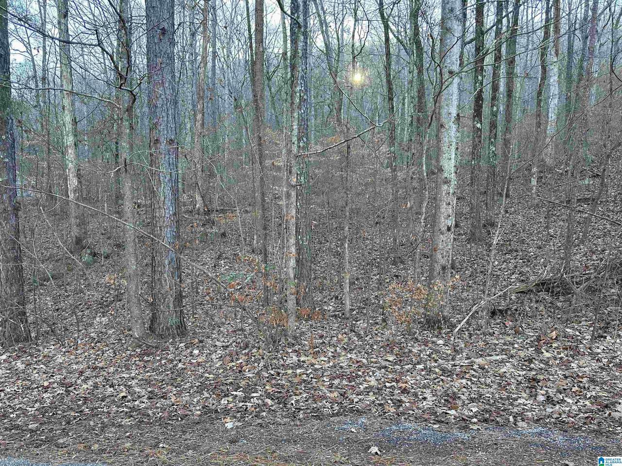 0 Valley Lane - Photo 1