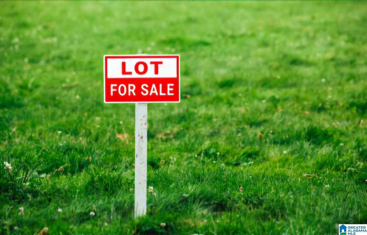 3007 Calvary Hill Lane - Photo 1