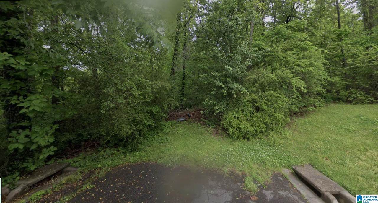 1150 Shadow Creek Drive - Photo 1