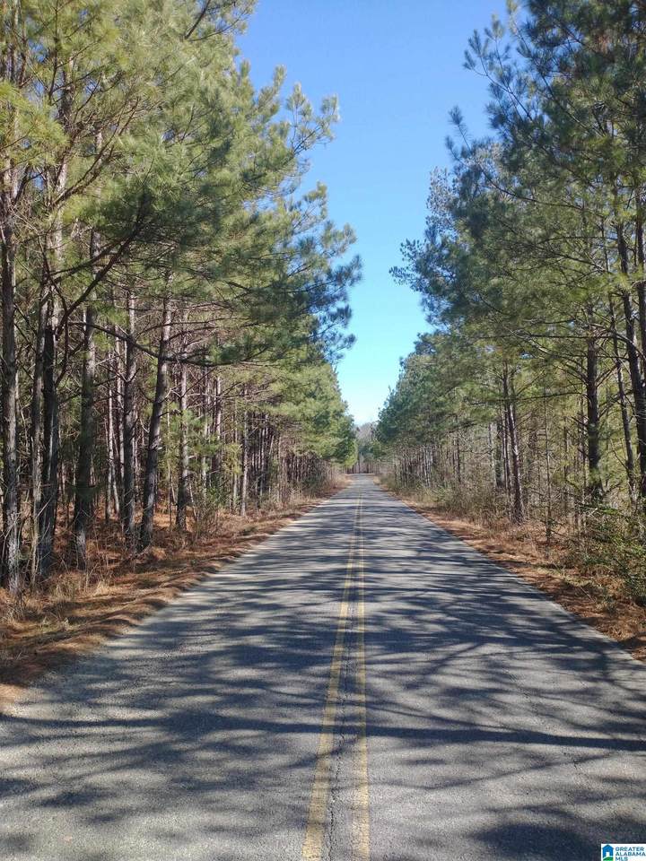 0002 Mckesie Street - Photo 1