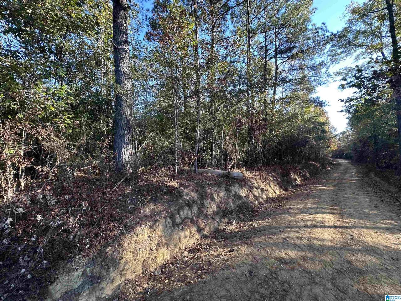 2 County Road 176 - Photo 1